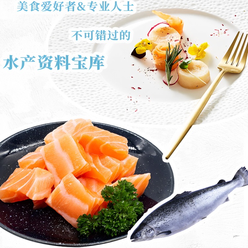 Seafood Cookbook DK 300 Classi - Home Cooking Cookbook ulasan dan harga